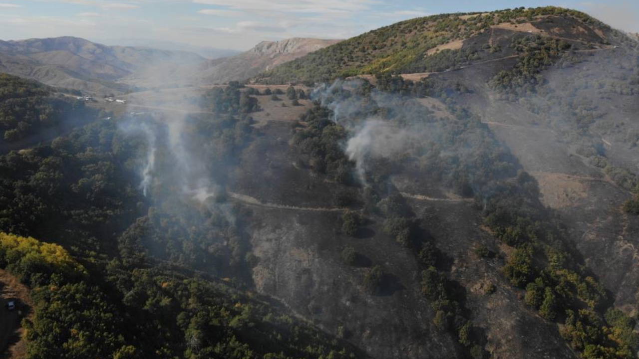 Gümüşhane'de çıkan orman yangını söndürüldü