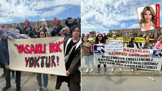 Hayvanseverler kazandı!