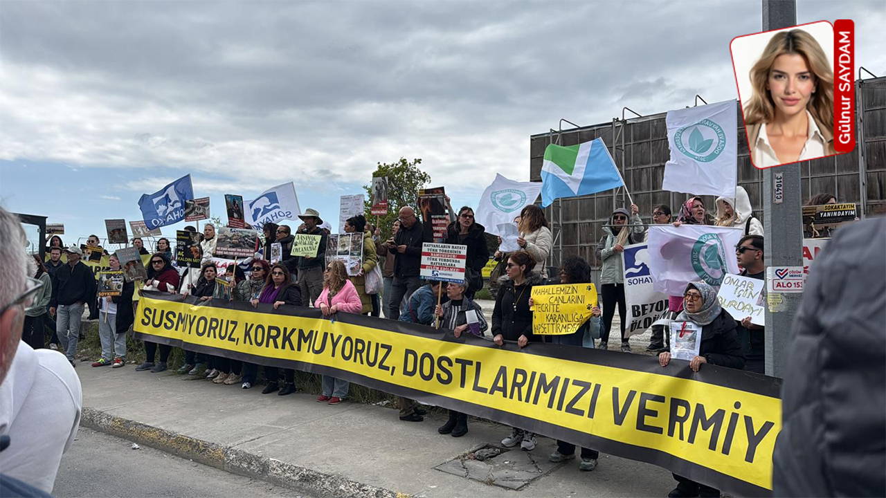 'Öldürmeyeceğiz' demişlerdi, 'ötanazi' masaya geldi: 'Katliam' toplantısına büyük tepki