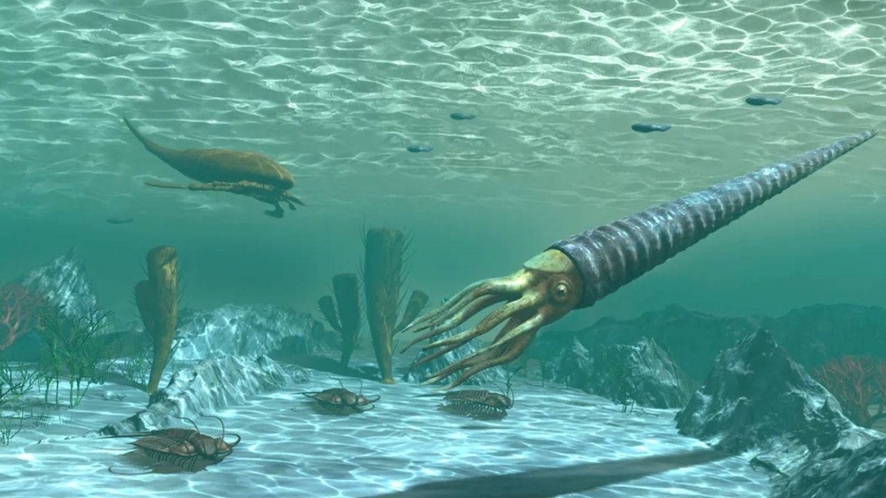 Tarihin en büyük yok oluşlarından biri: Ordovisiyen Felaketi nasıl gerçekleşti?