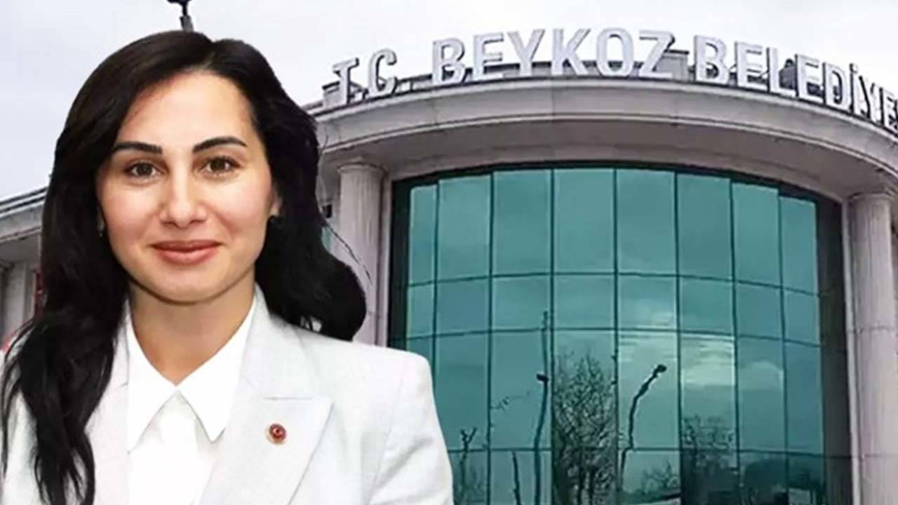 'Sadece AKP'li ve MHP'li üyeler tarafından desteklendim'