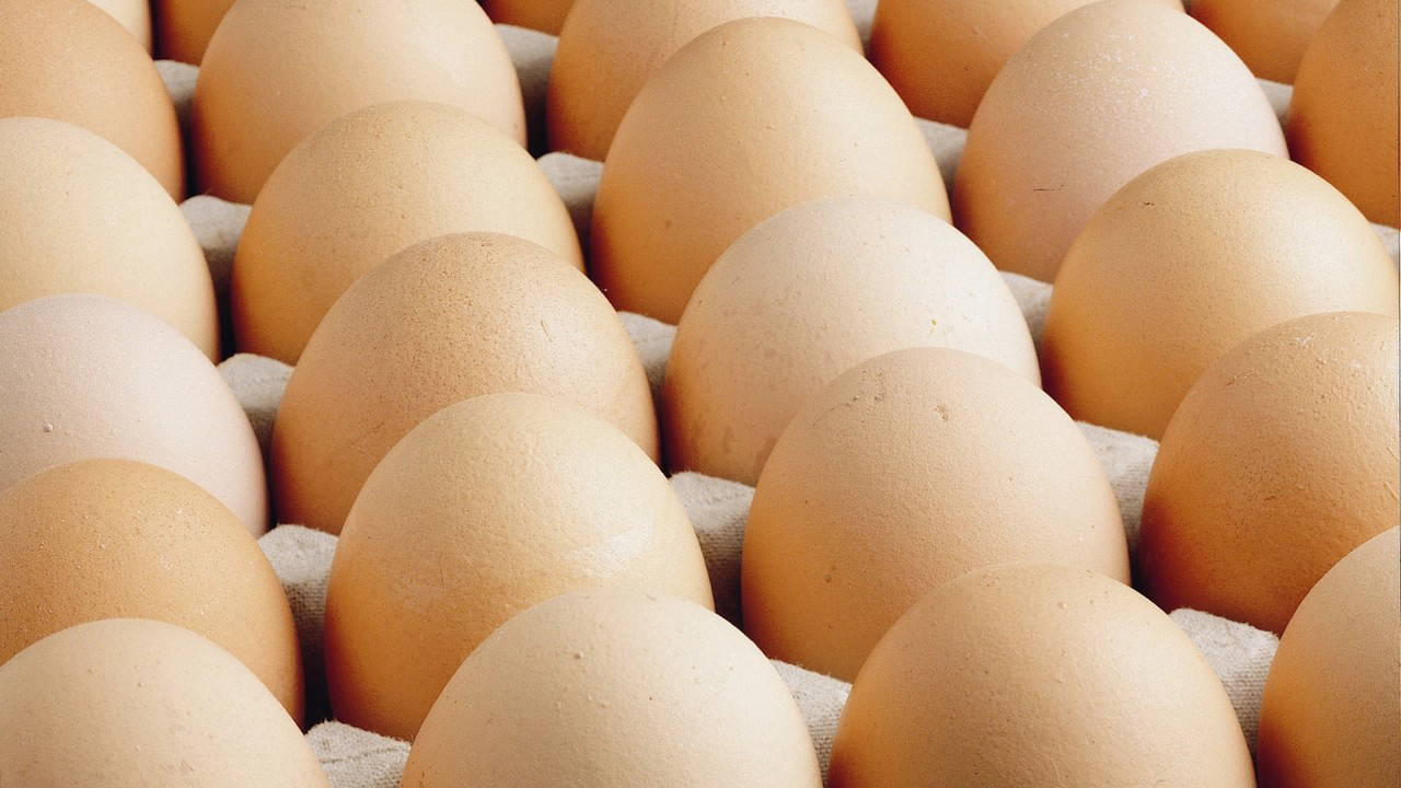 Türkiye'den ihracatı arttı: ABD'de fiyatlar düştü!