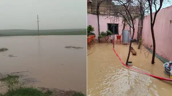 Mardin'de sağanak felaketi: Dereler taştı, tarım arazileri sular altında kaldı!