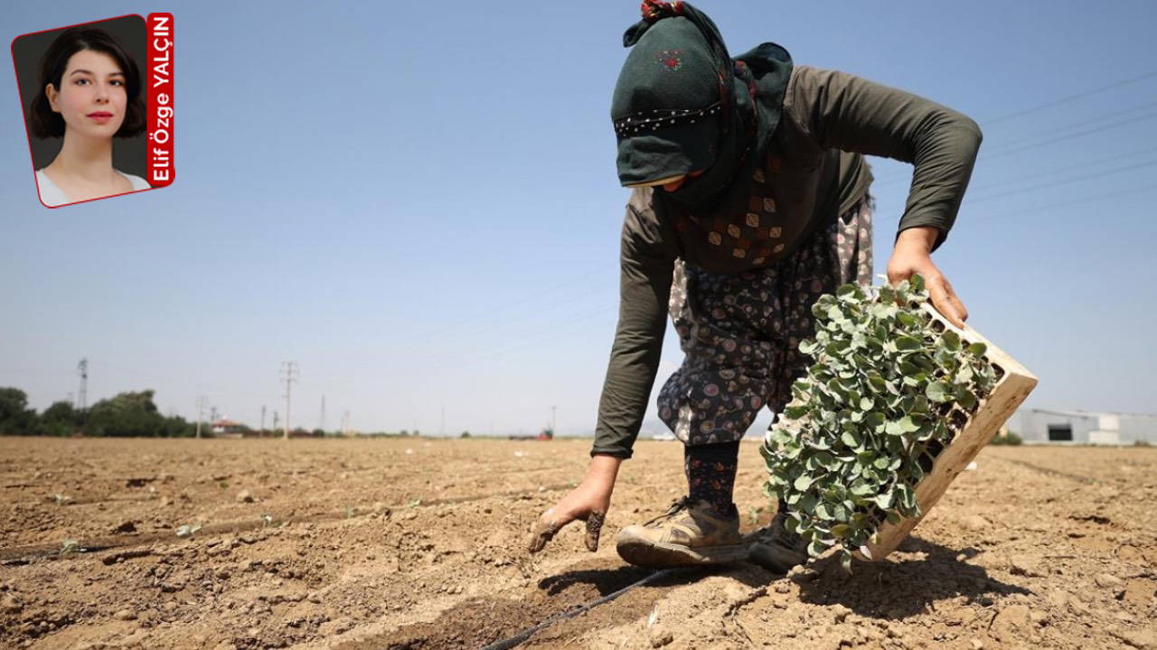 En çok iş kazası tarımda yaşandı!