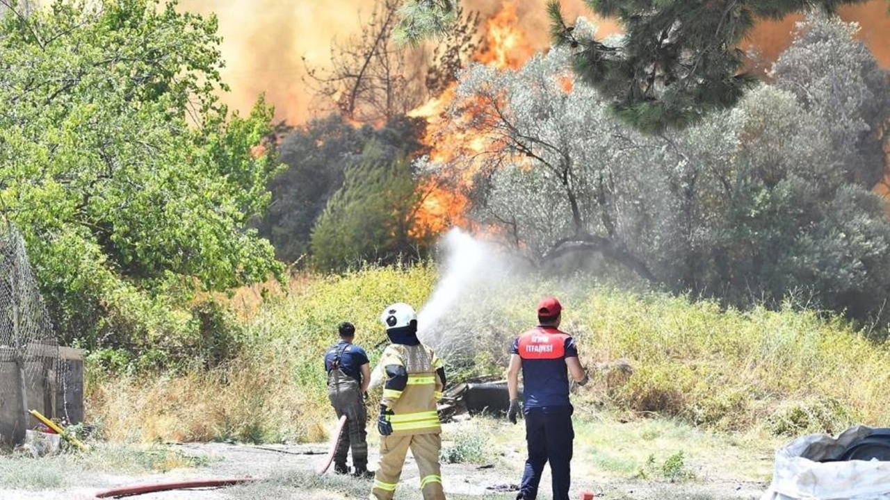 Son Dakika... 3 orman yangını kontrol altına alındı