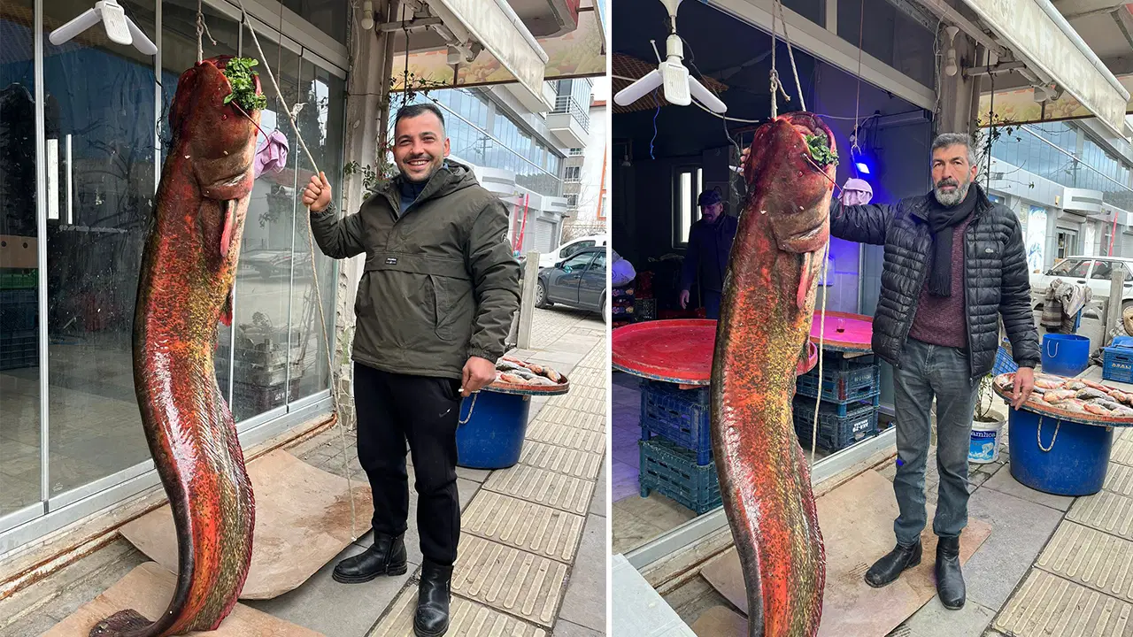 Çayırhan Gölü'nde balıkçı ağlarına 2 metrelik yayın balığı takıldı