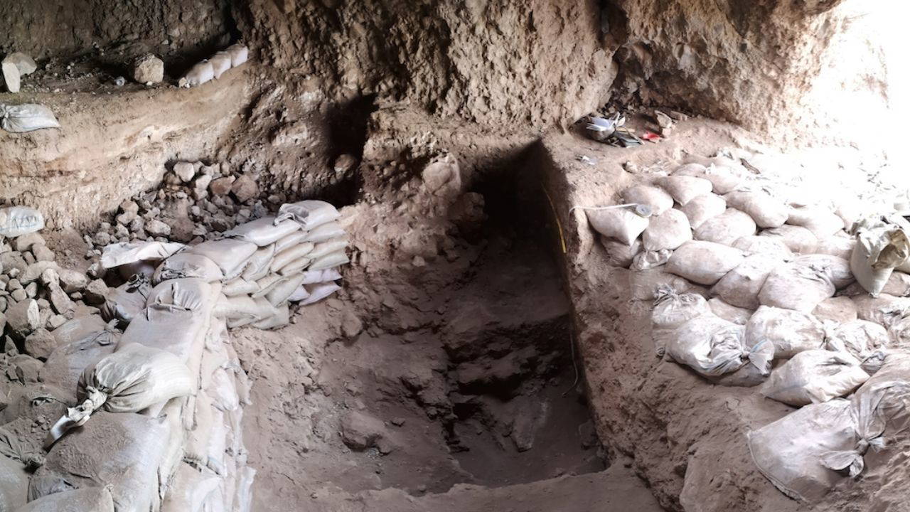 Orta Asya’da tarımın en eski kanıtlarından biri bulundu