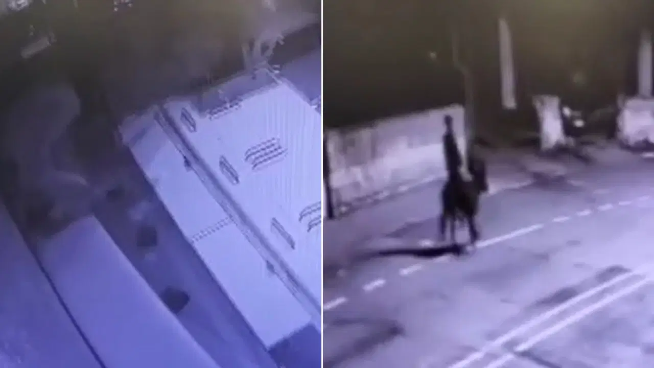 Forkliftle geldi, eşekle kaçtı: Kasayı taşıyamadı, 150 gram altın çaldı