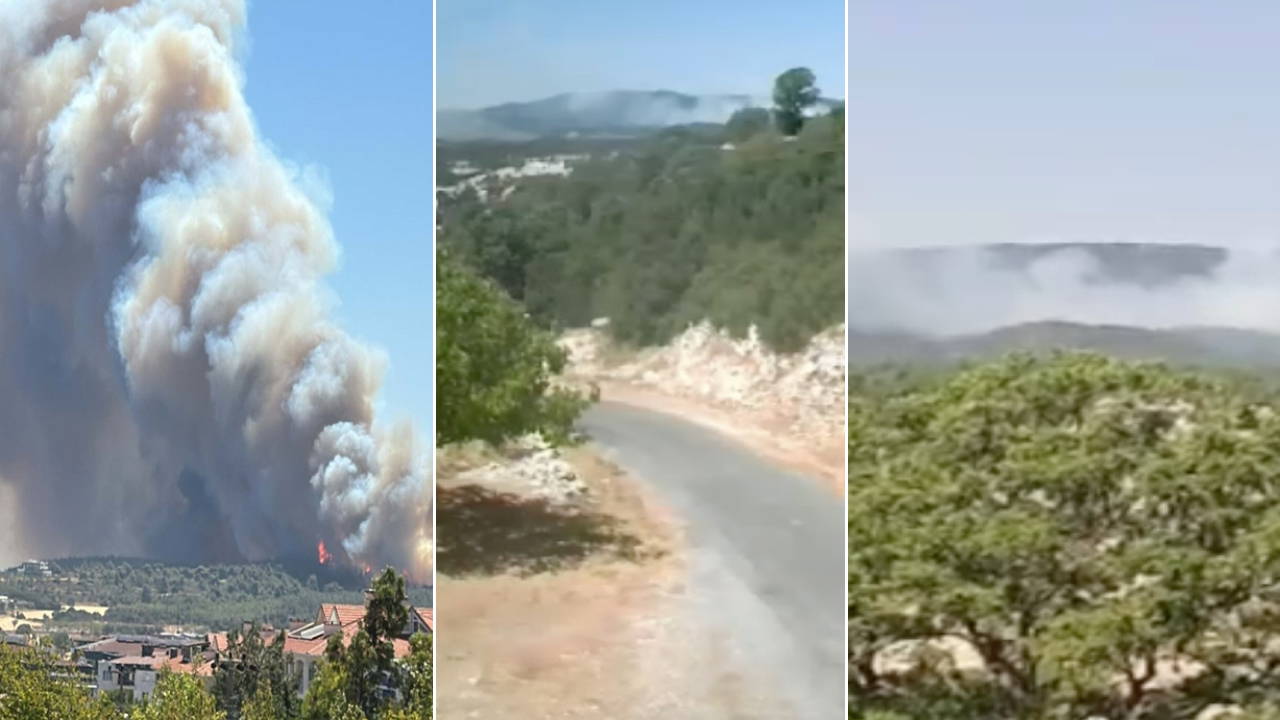 Bolu, Çanakkale, Manisa ve Mersin'de orman yangını!
