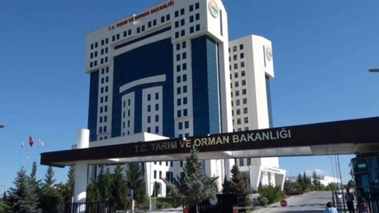 Tarım ve Orman Bakanlığı 200 sözleşmeli personel alacak