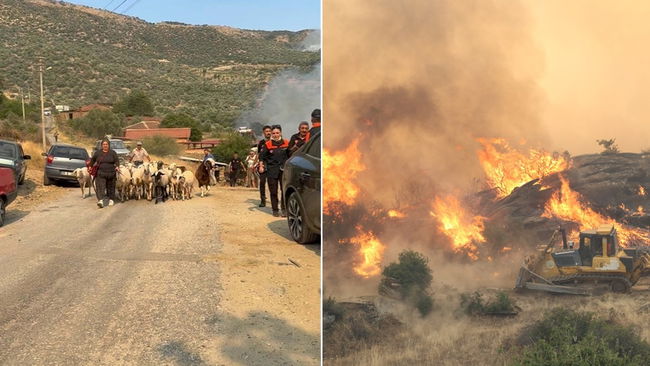 Aydın'da tarım arazisinde yangın: İki mahalle tahliye ediliyor