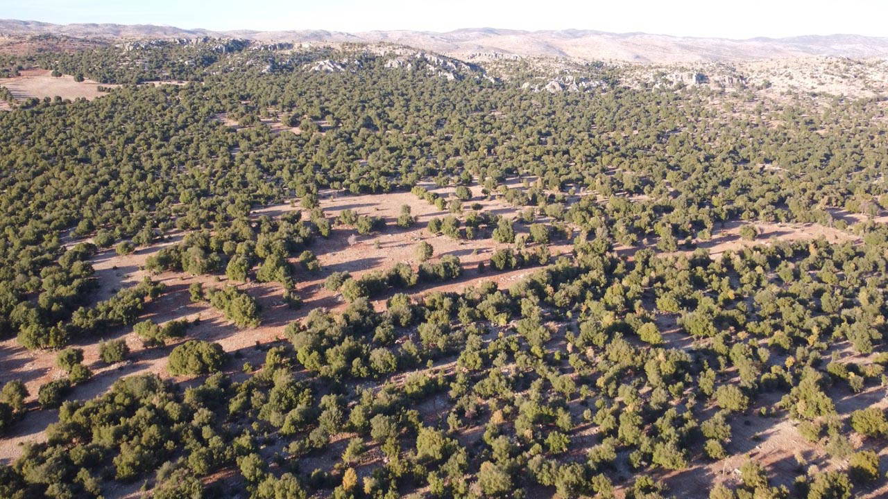 Amazon’dan Türkiye’ye 1,5 milyon avro destek