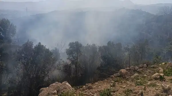 Samandağ’da ormanlık alanda çıkan yangın kısa sürede kontrol altına alındı
