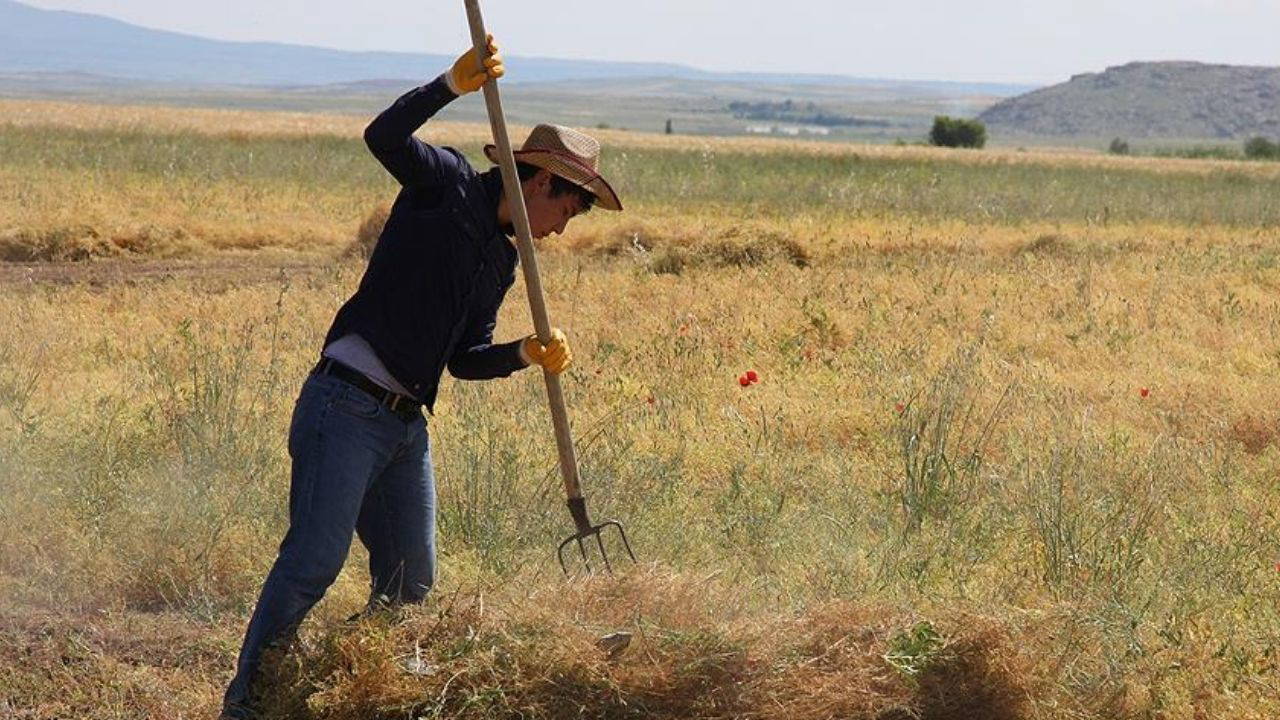 Dünya Çiftçiler Günü nedir? Dünya Çiftçiler Günü ne zaman ortaya çıktı? Dünya Çiftçiler Günü'ne özel mesajlar