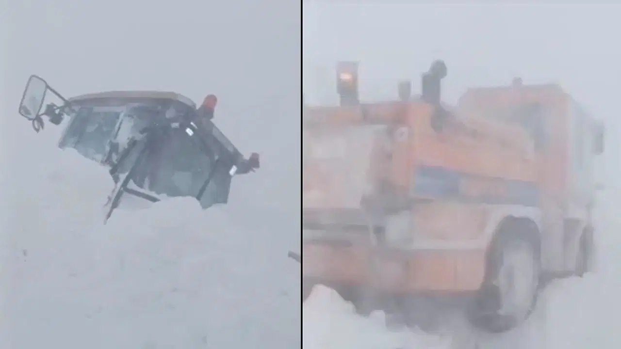 Son dakika... Ardahan'da çığ felaketi: İş makineleri kar altında kaldı!