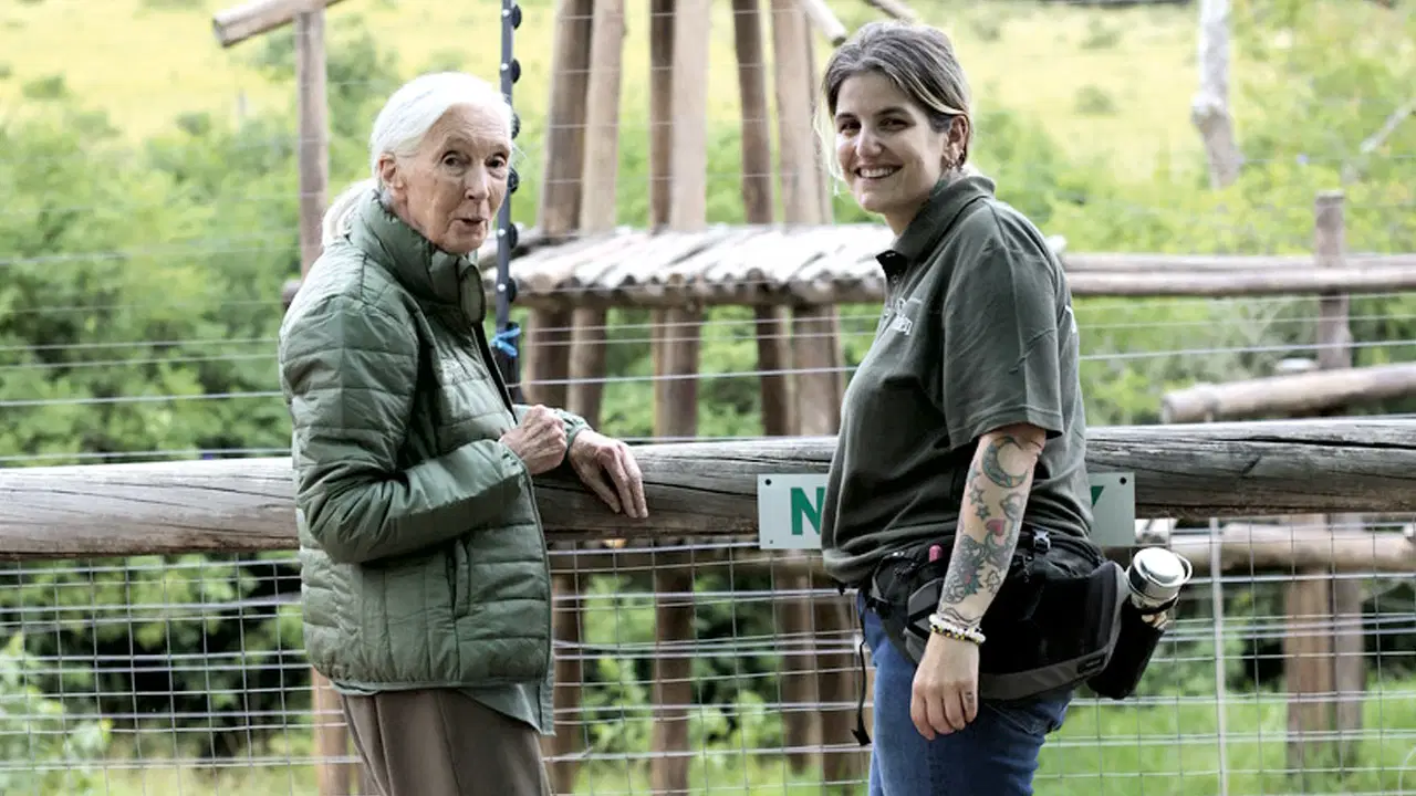 'Umut, eylem gerektiren bir şeydir'
