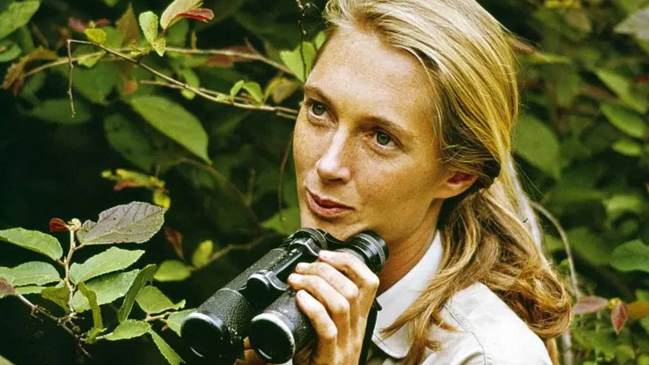 'Gezegenimizin kahramanı': Jane Goodall 91 yaşında hayatını kaybetti
