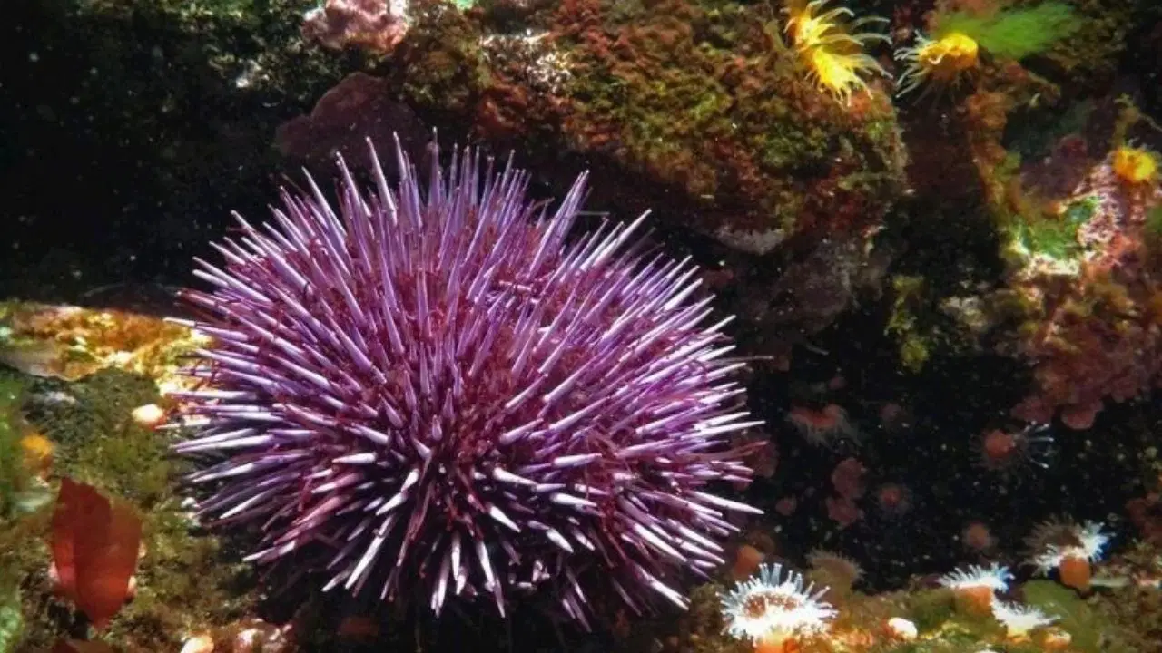 Son Dakika Haber Görseli