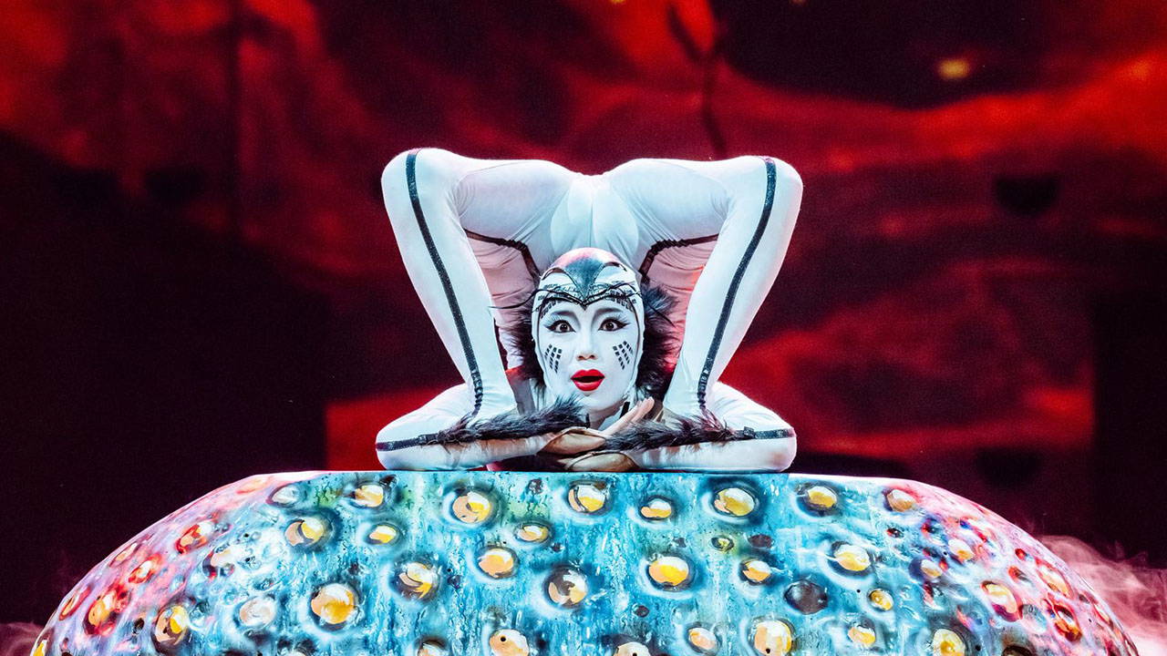 10 yıllık hasret bitiyor: Cirque du Soleil 'OVO' gösterisiyle İstanbul'da!