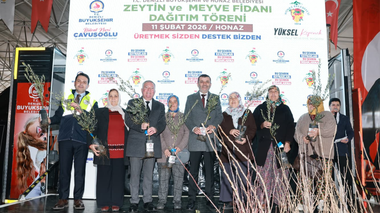 Honazlı üreticiye 4 bin 236 zeytin fidanı