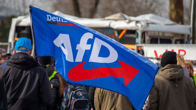 AfD tarihi rekor kırdı