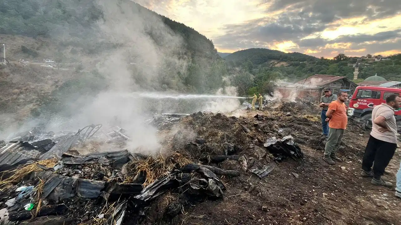 Bolu'nun Çamyurdu Köyü'nde gece yarısı yangın felaketi: Evler, samanlıklar kül oldu, iki büyükbaş hayvan öldü!