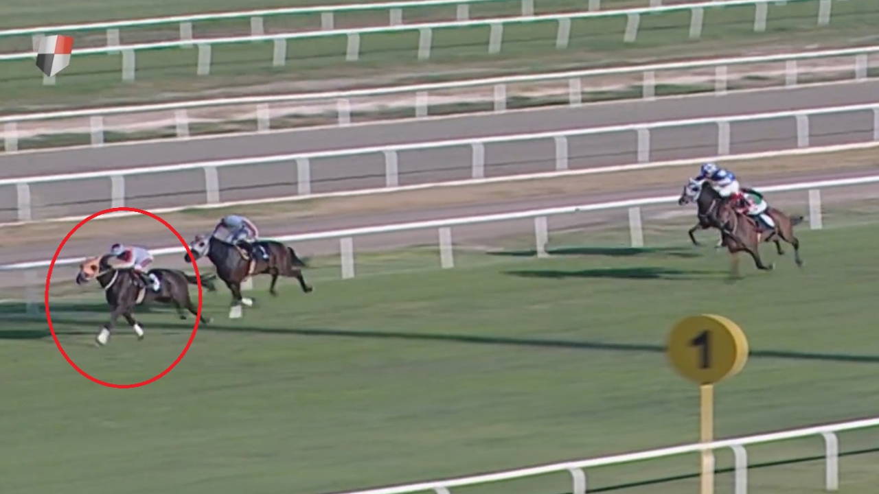 Kavurma yapıldığı iddia edilen yarış atının sahibine para cezası