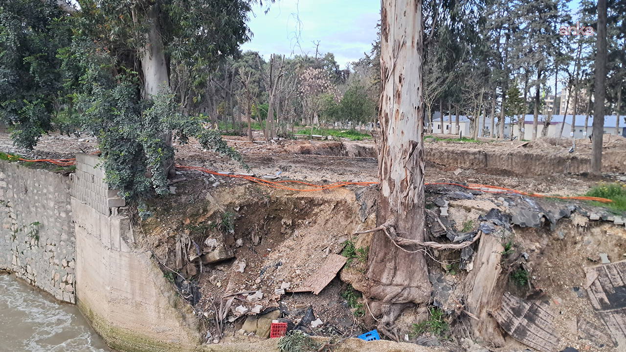Hatay'daki Atatürk Parkı'nda asırlık ağaçlar kesiliyor: '100 yıllık park bu şekilde yok edilerek nereye varılacak?'