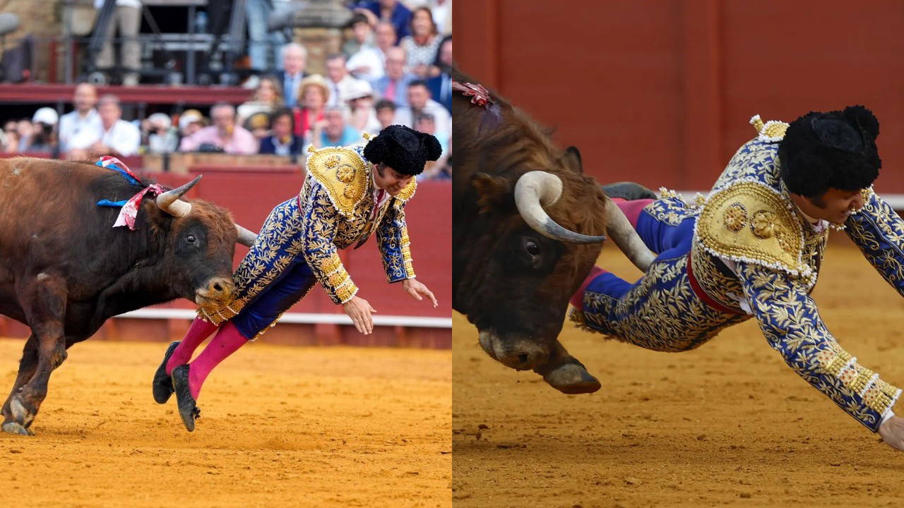Arenada ölümle burun buruna: Ünlü matador ağır yaralandı