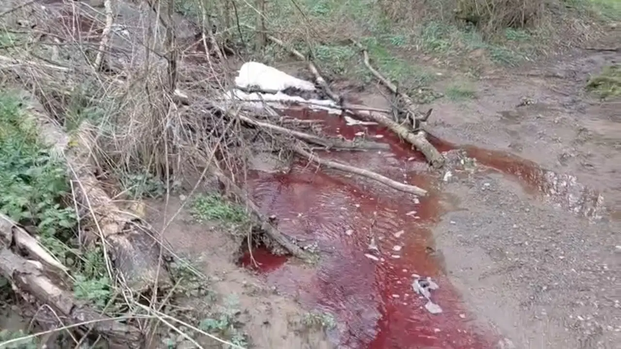 İstanbul'da tedirgin eden görüntü: Dere kırmızı renkte akıyor!