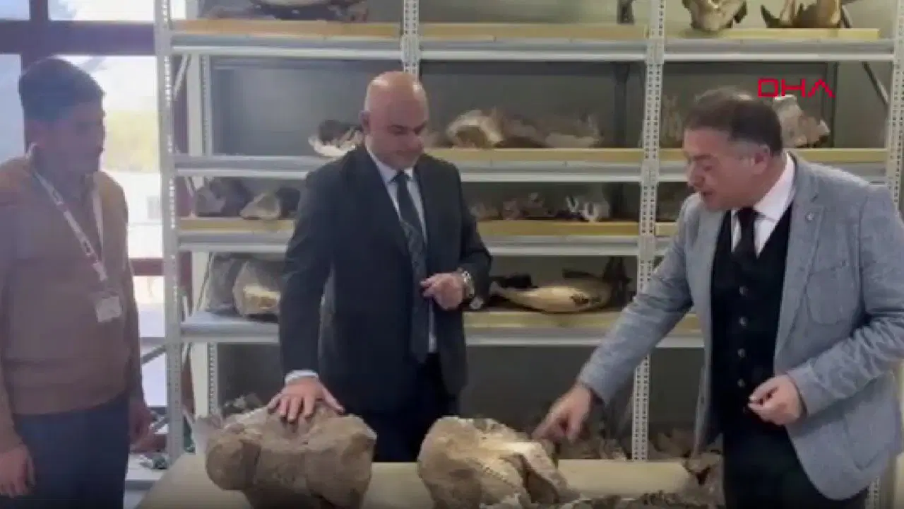 Tuzluca’da bulunan 30 milyon yıllık dev gergedan fosili, MTA Tabiat Tarihi Müzesi’nde