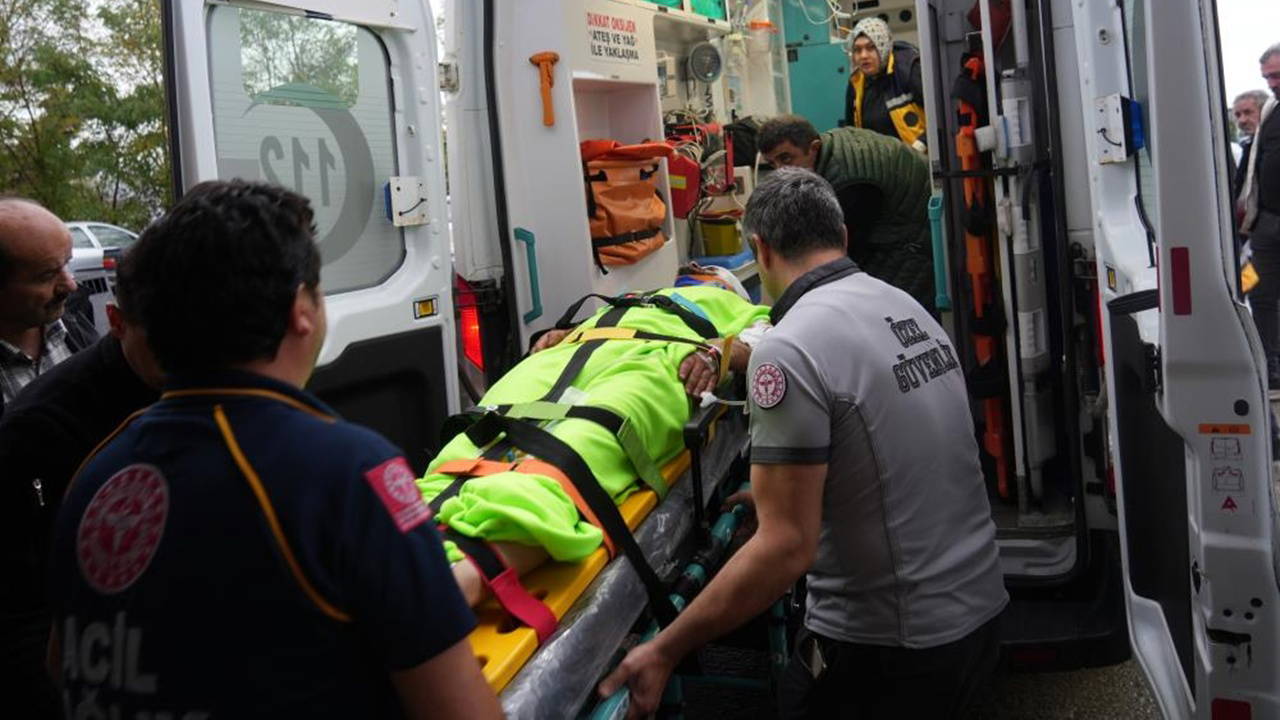 Mantar toplarken ayının saldırısına uğrayan imam yaralandı