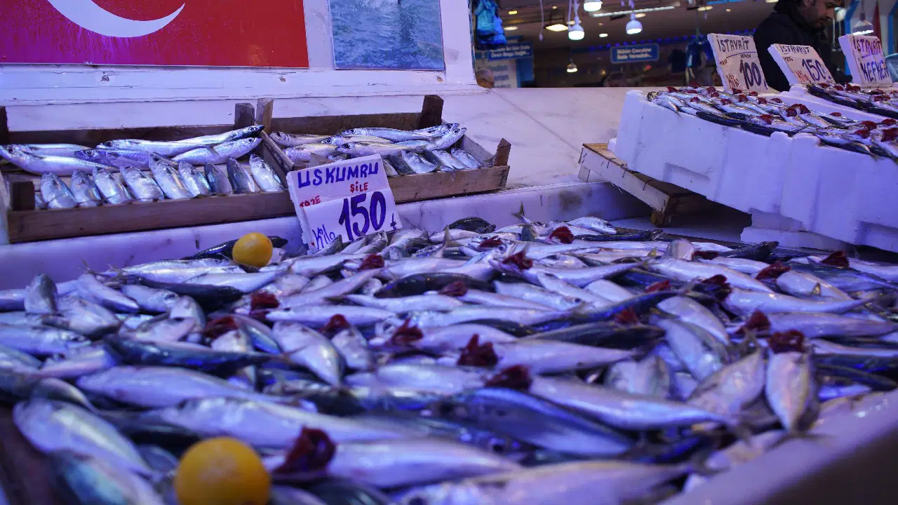 Hamsi zirvedeki yerini bıraktı: 100 liralık fiyatı ile en çok tercih edilen balık oldu...
