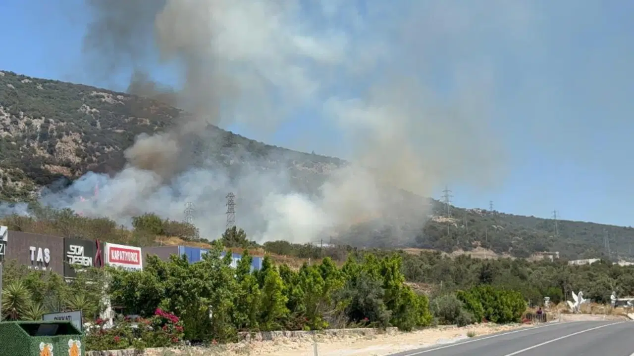 Manisa, İzmir, Bilecik... Türkiye'nin ciğerleri yanıyor: Bodrum'da orman yangını!