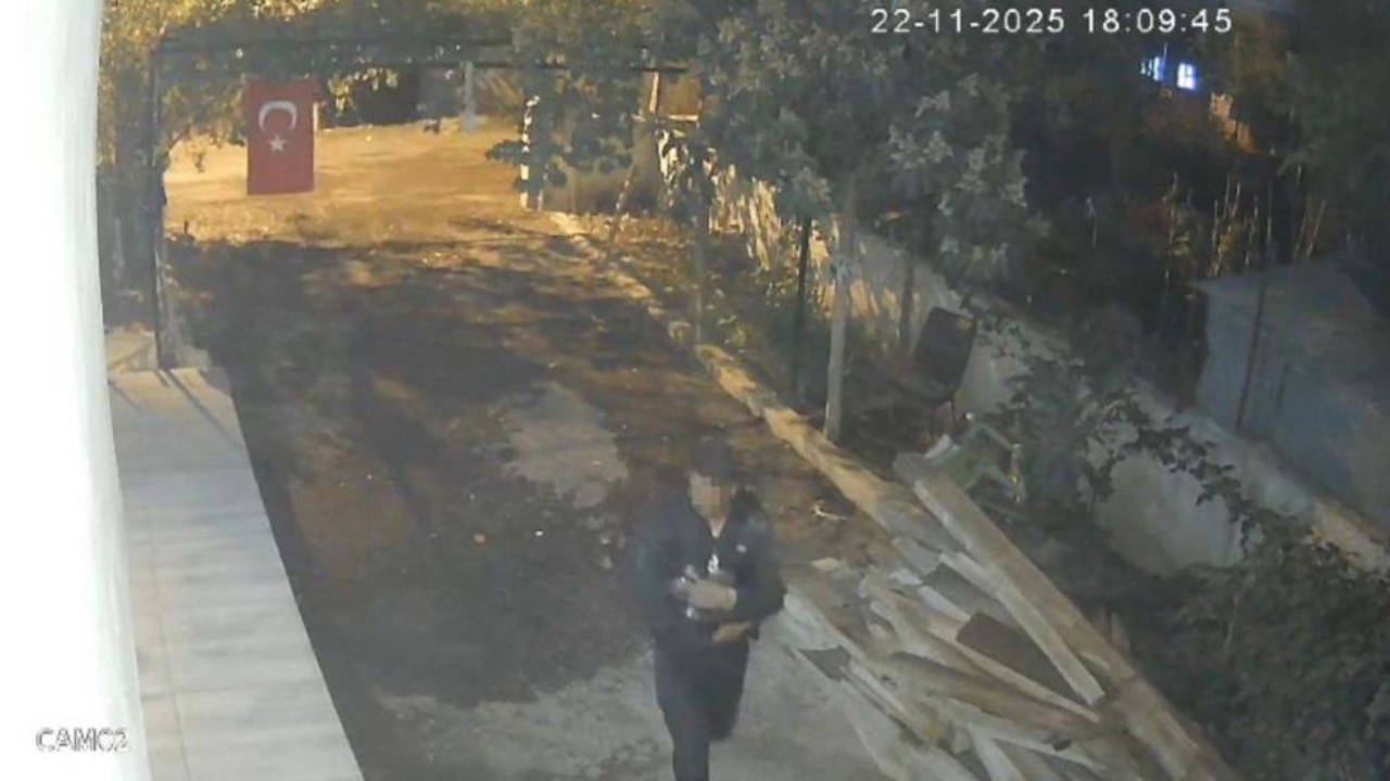 Komşusunun 'mavi' yumurtlayan tavuklarını tişörtünün içine koyarak çaldı!