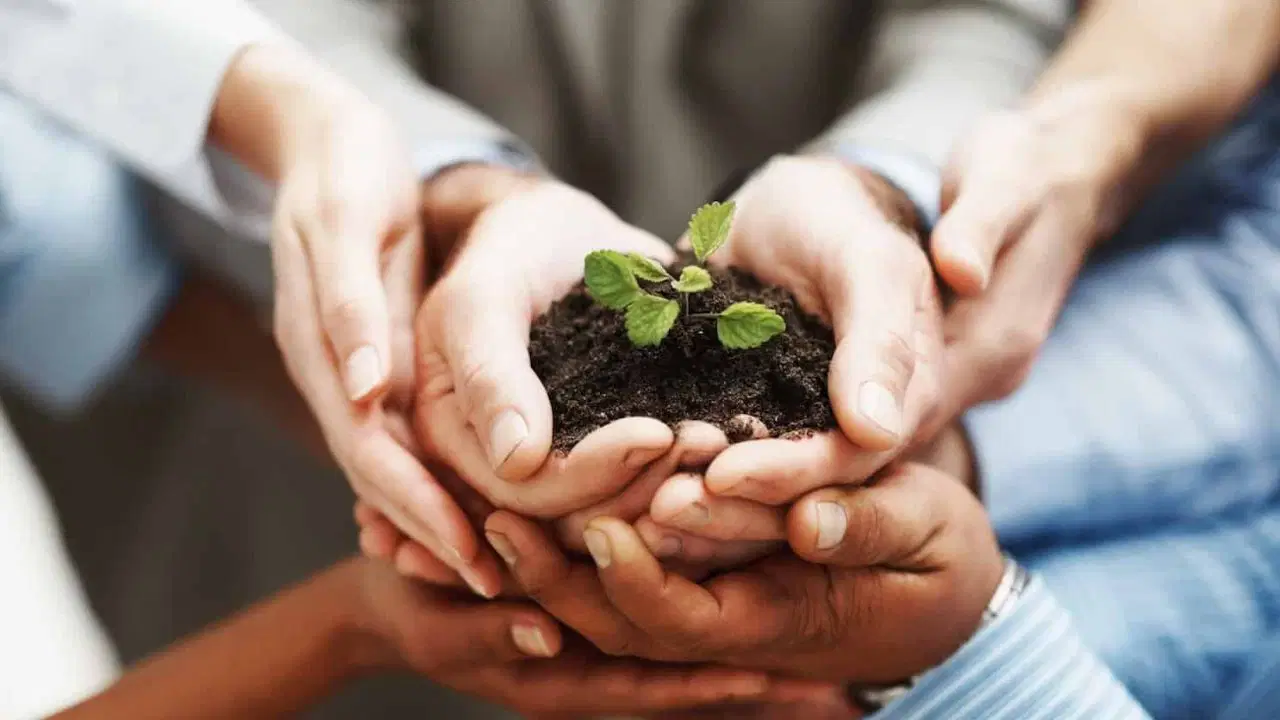 Aşırı derecede sorumluluk sahibi olan 4 burç: Bu burçlar hiçbir görevini aksatmadan yerine getiriyor