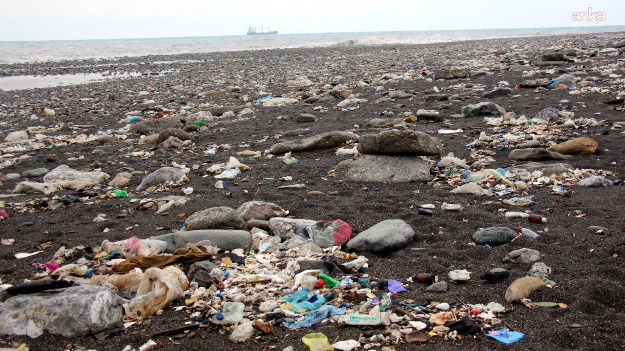 CHP'li Yavuzyılmaz'dan Kozlu sahiline ilişkin açıklama: 'Benzeri görülmemiş bir çevre rezaleti yaşatılıyor'