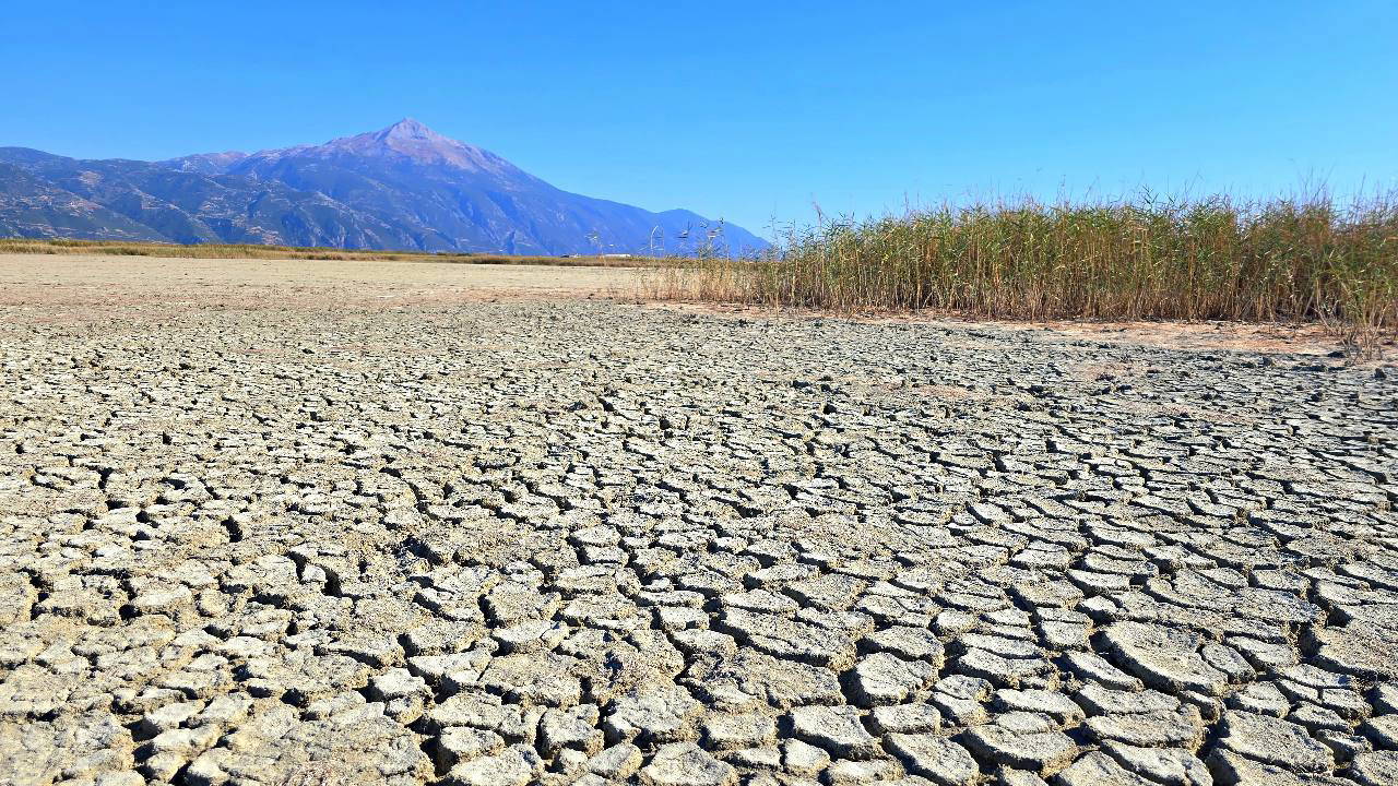314 kuş türüne ev sahipliği yapıyordu... Milleyha Kuş Cenneti kurudu!
