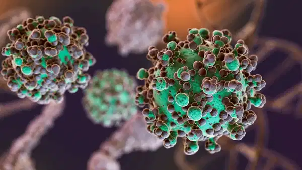 Nipah virüsü nedir, nasıl bulaşır? Nipah virüsü Türkiye'de var mı?