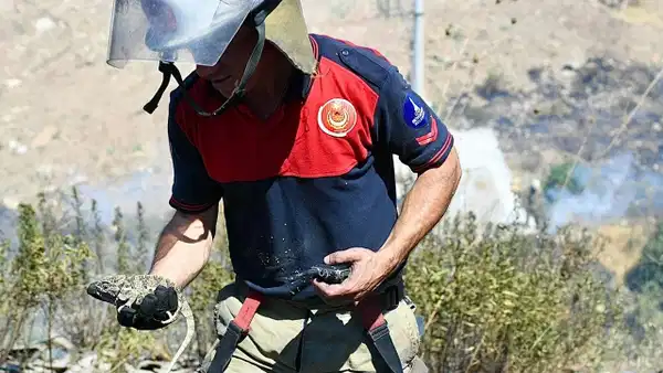 Bornova'da orman yangını: İtfaiye, bukalemunu hayata döndürdü