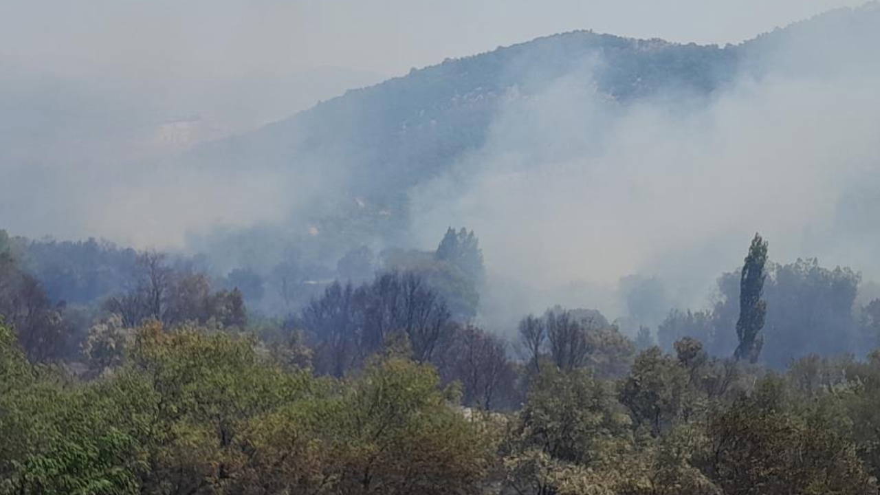 Muğla'da antik kent alanında yangın!