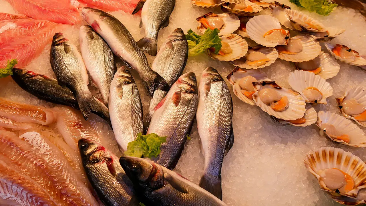 Denizlerde ısınma yeni hastalıkları getiriyor: Balık tüketirken bu belirtilere dikkat!