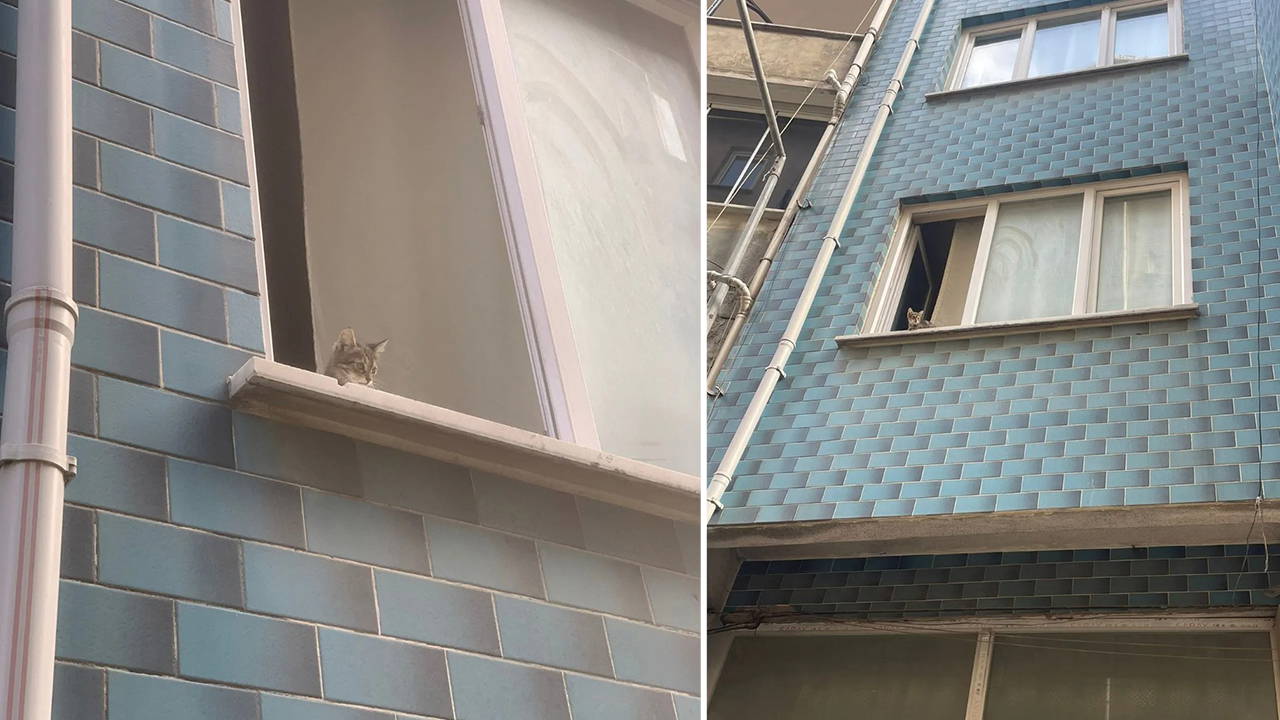 Çocukların dikkati yavru kediyi kurtardı: İtfaiye yardıma koştu