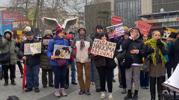Beşiktaş’ta Necla teyze anması: Hayvan hakları savunucularından yasa tepkisi