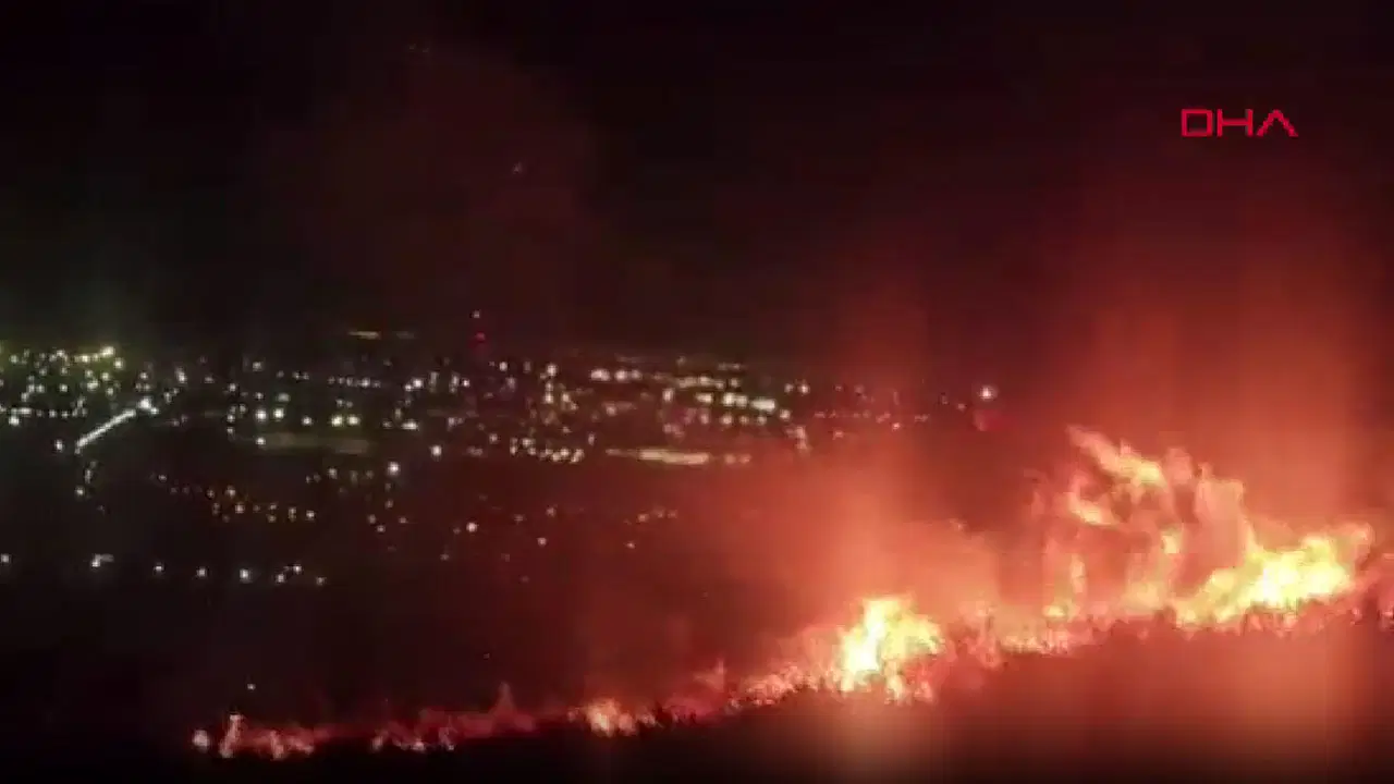 Hatay İskenderun'da orman yangını!