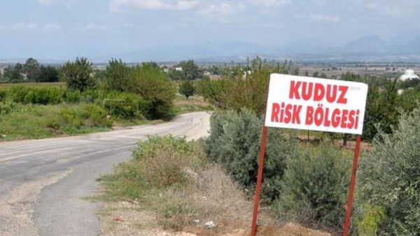 Diyarbakır'da kuduz alarmı: Kedinin ısırdığı çocuk entübe edildi!
