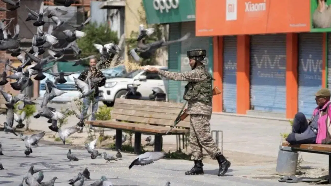 Hindistan'da güvercin beslemek yasaklandı