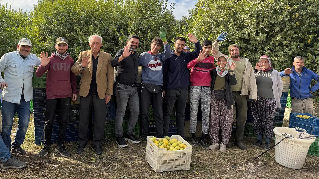 Binlerce ailenin geçim kaynağı: Kışın toplanıyor, yazın satılıyor...
