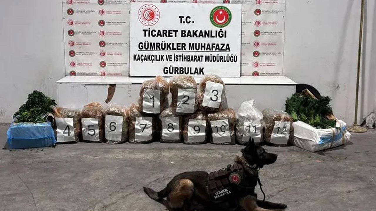 Maydanoz ve dereotu yüklü TIR'dan 51 kilo esrar çıktı