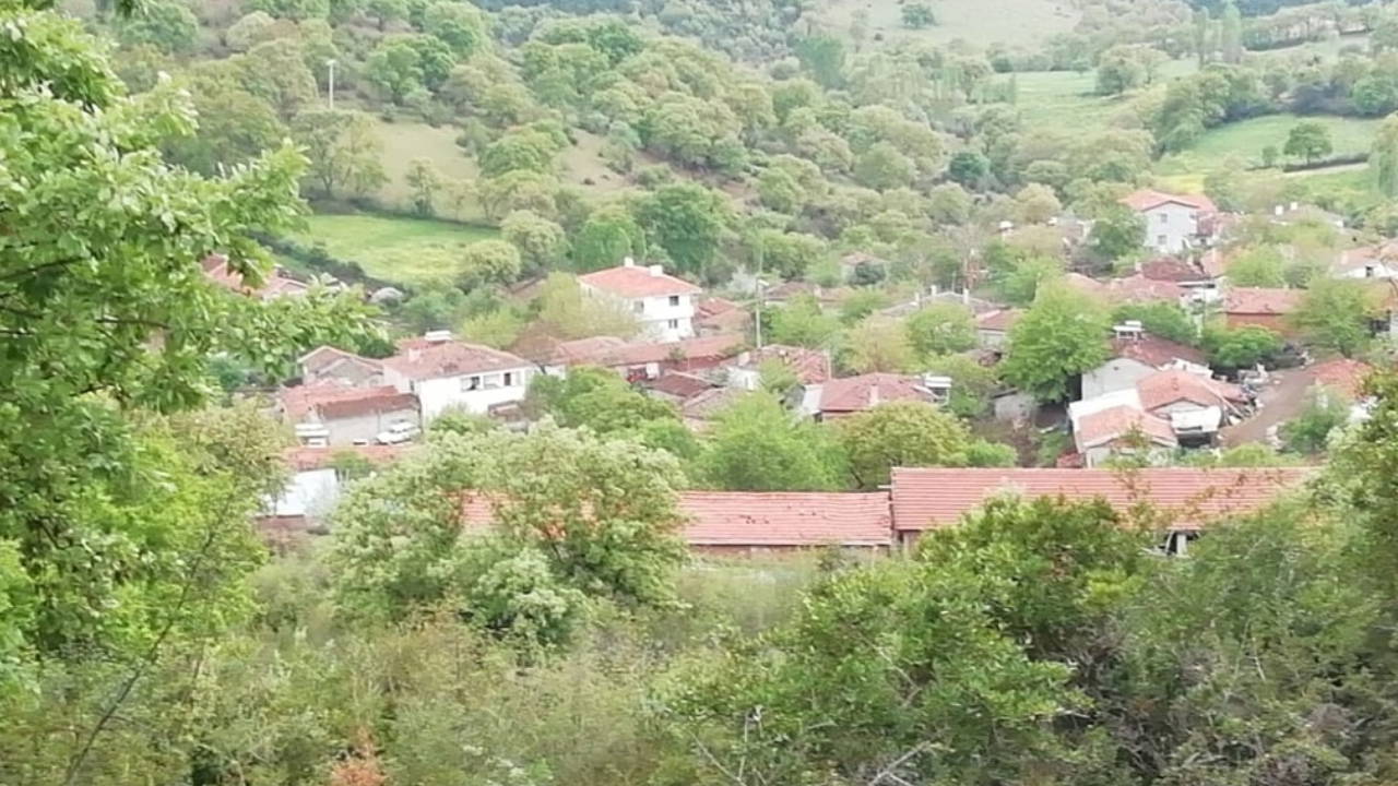 Balıkesir İvrindi'de kalker ocağı için verilen 'ÇED Olumlu' kararına çevre dernekleri dava açtı